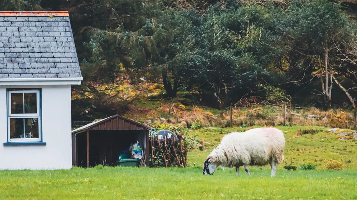 Pet-Friendly Cottages in Ireland: Where to Stay with Your Dog or Cat