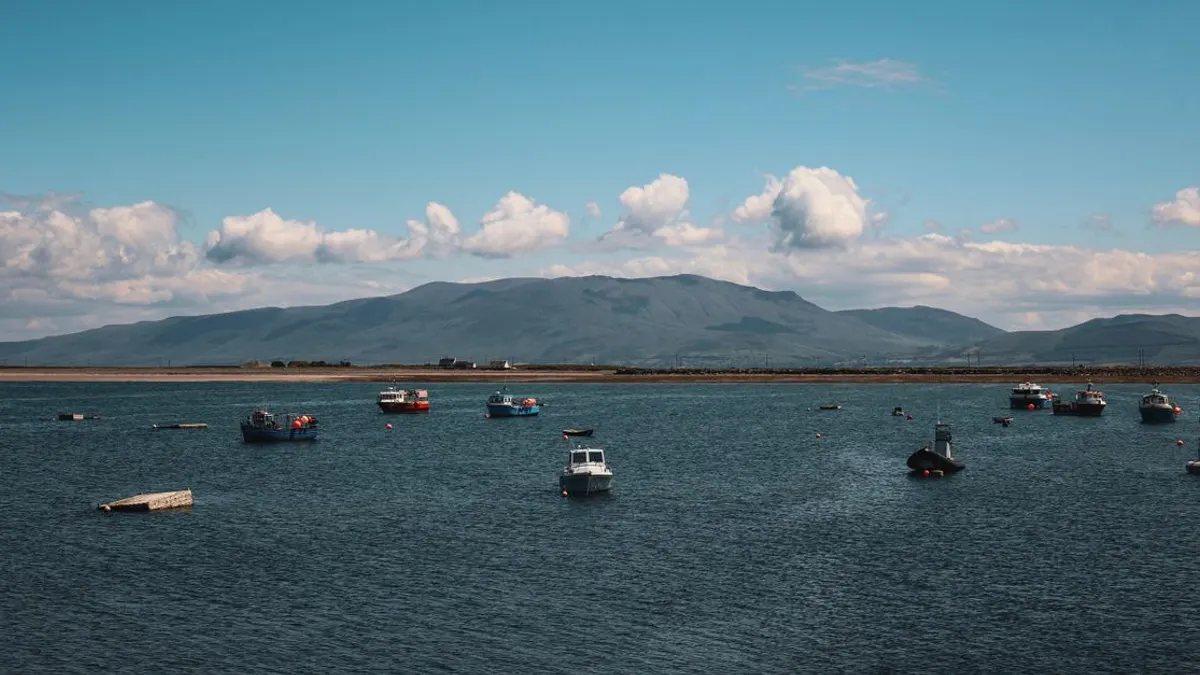 Where to Stay in Tralee – Tralee Accommodation Guide