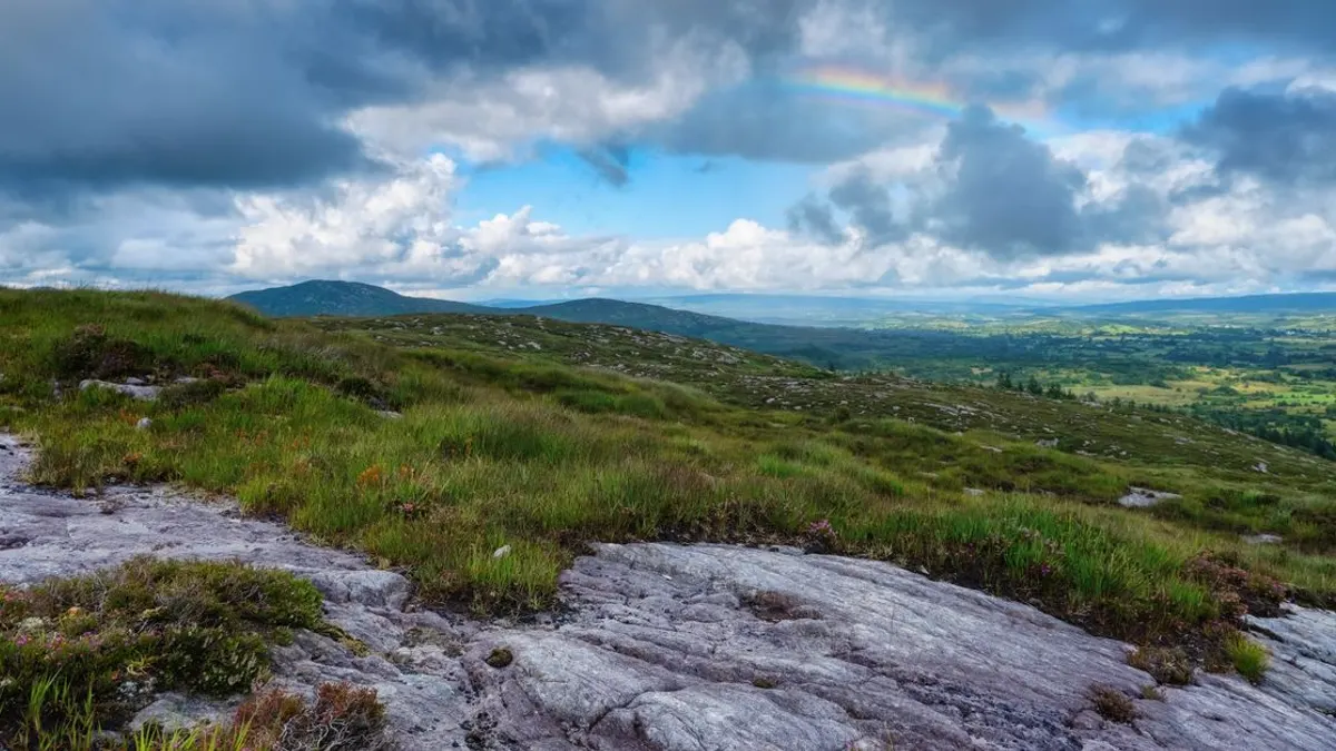 Where to Stay in Westport: Best Areas & Accommodation Tips