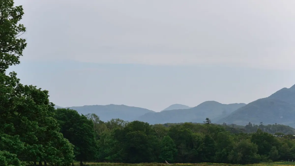 Quand partir en Irlande : climat & saisons