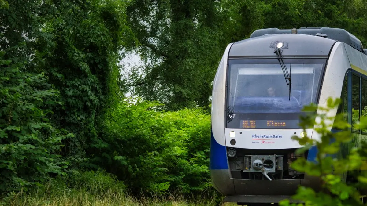 Visiter l'Irlande en train : lignes, itinéraires et conseils pratiques