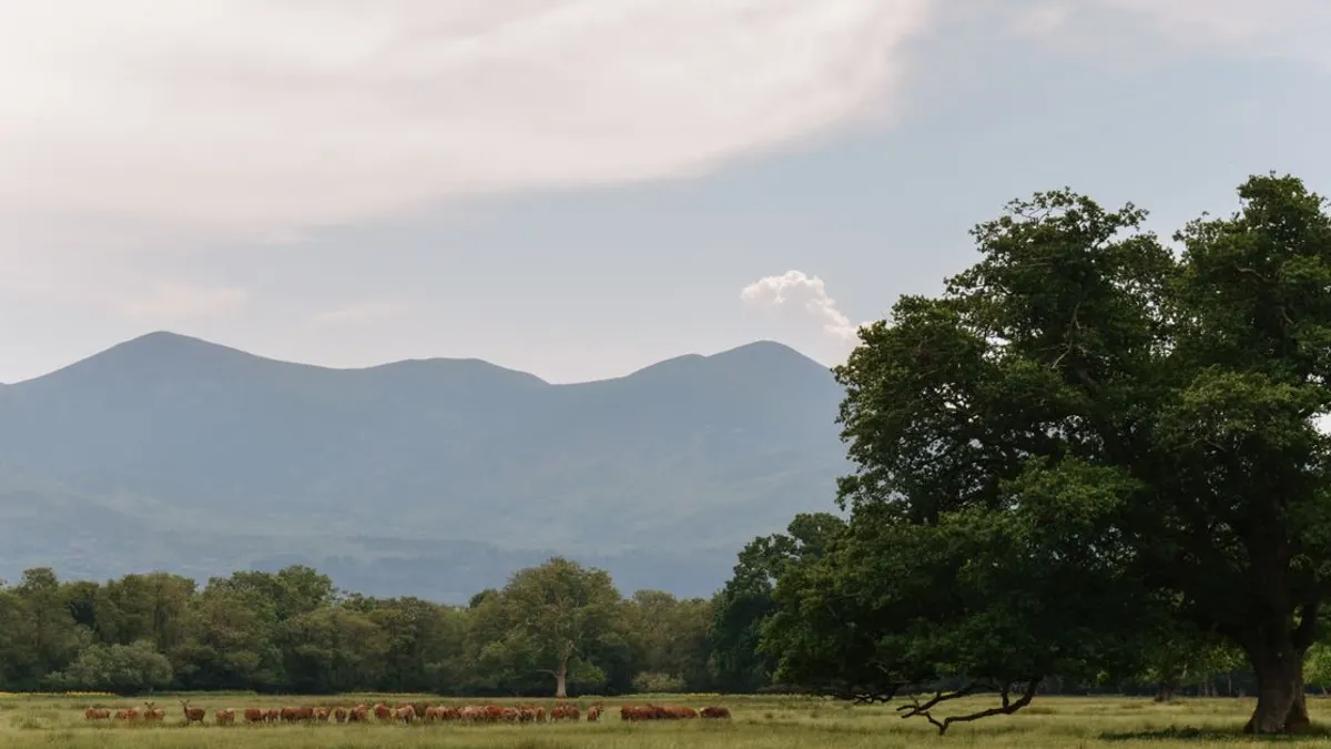 Where to Stay in County Kerry: The Complete Guide