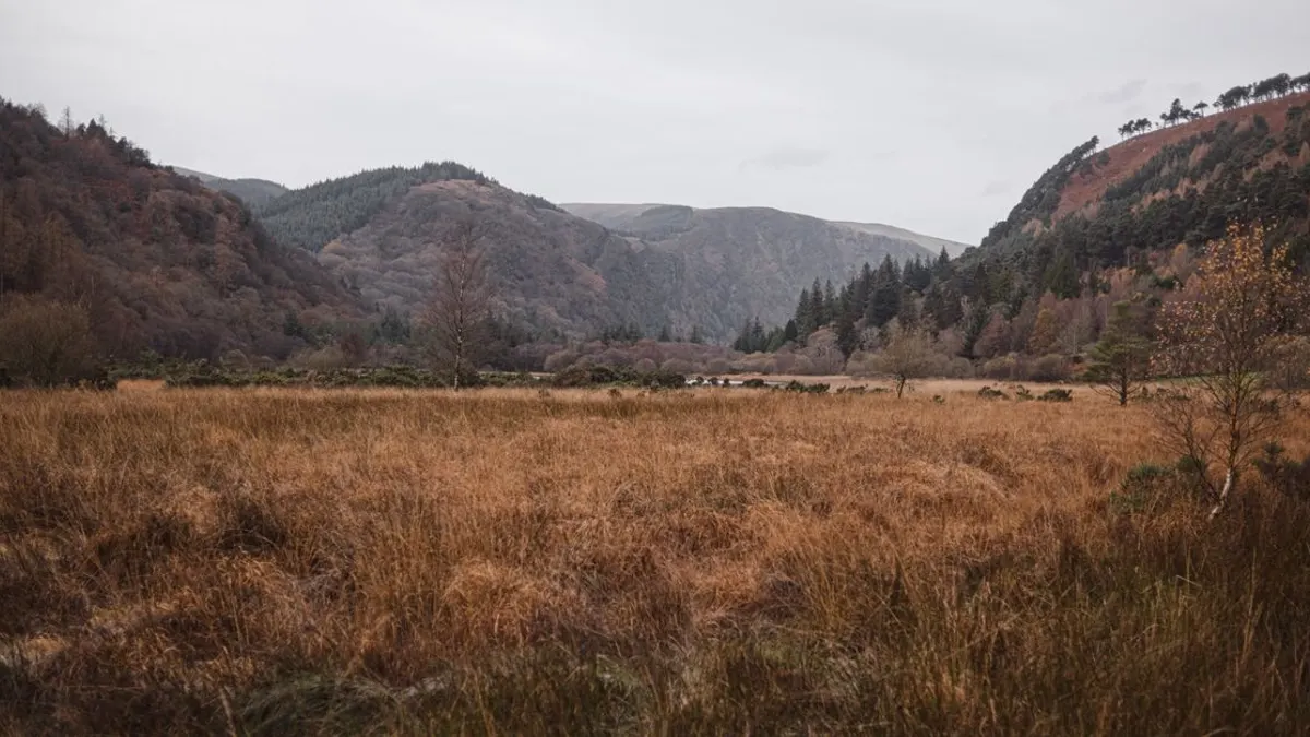 Where to Stay in County Wicklow
