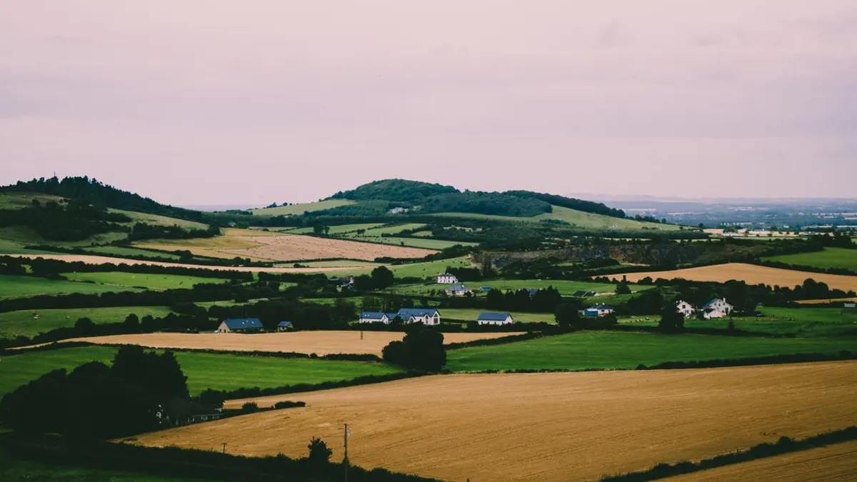 Things to Do in Ireland: The Best Experiences Across the Island